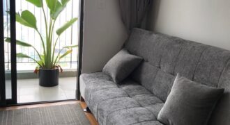 Vinhomes D’Capitale Studio