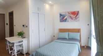 Vinhomes Green Bay Studio