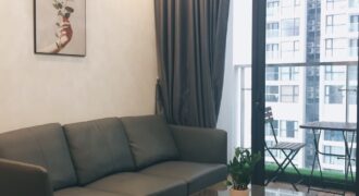 Vinhomes Skylake 2 phòng ngủ