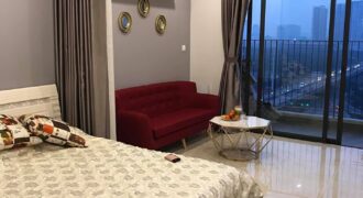 Vinhomes D’ Capitale Studio