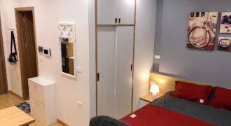 Vinhomes Green Bay Studio