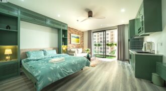 Vinhomes D’Capitale Studio